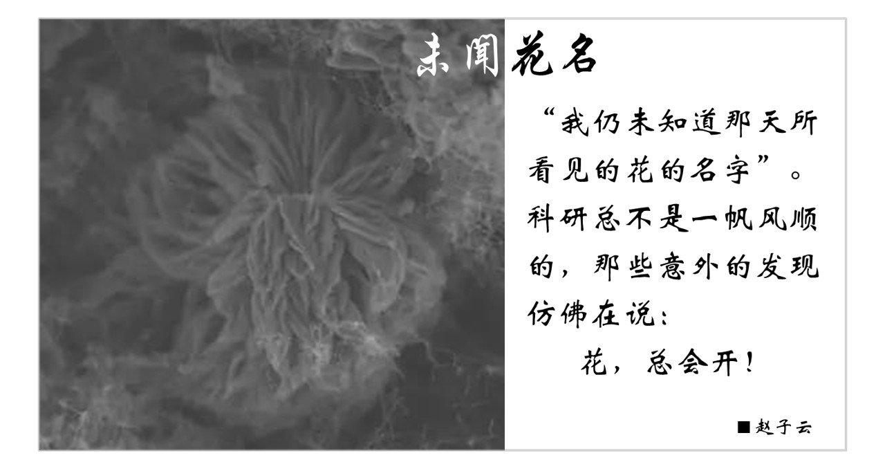 开放获取英文学术期刊