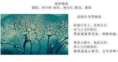 祝贺Nanoyang课题组2024级